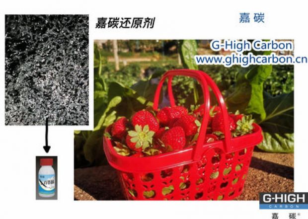 嘉碳還原劑守護(hù)“莓”好，甜蜜上線