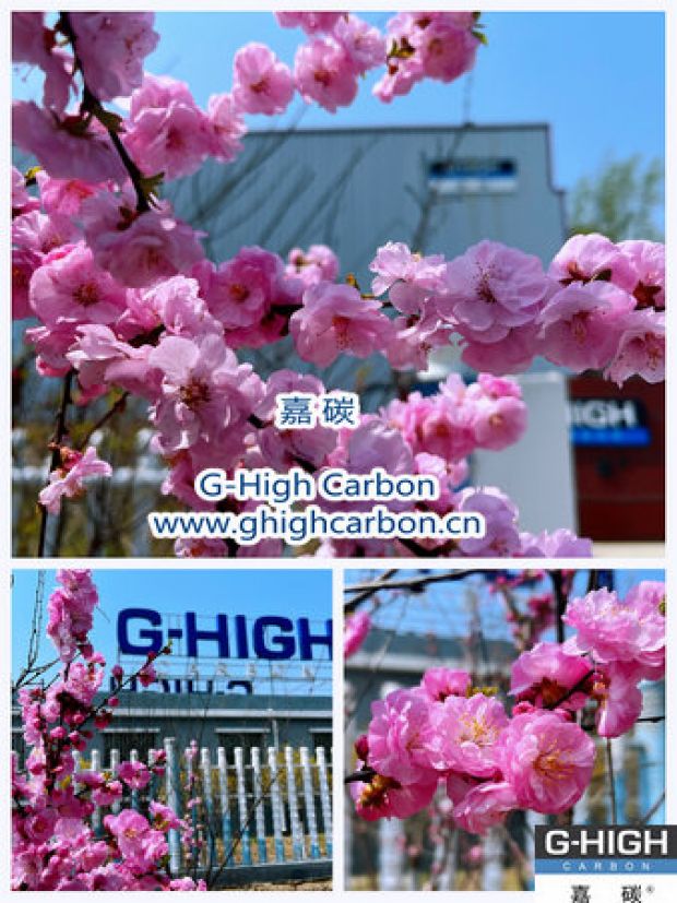 環(huán)保嘉碳，春花爛漫