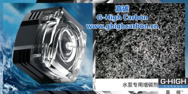 精鑄泵業(yè)，專業(yè)護(hù)航