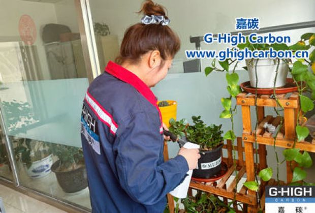 午休時(shí)光種花忙，美化辦公環(huán)境添綠意
